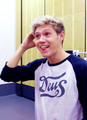 Niall                                 - one-direction photo