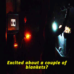  The Blake Siblings Blankets ↳ The 100 ‘Day Trip’