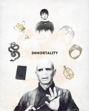  Voldemort and Harry