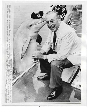 Walt Disney Getting A Kiss On The Cheek From A Dolphin
