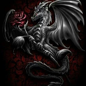 ड्रॅगन्स and rose