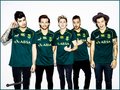 one direction,On the road again Tour  - one-direction photo