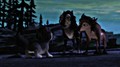 runt king and  princess - alpha-and-omega-2-a-howl-iday-adventure photo