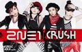 2NE1 for 'CRUSH' Album Japanese Version - 2ne1 photo