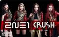 2NE1 for 'CRUSH' Album Japanese Version - 2ne1 photo