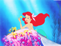 Ariel Image - disney-princess photo