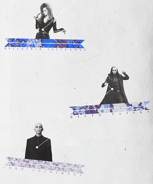  Bellatrix, Voldemort and Death Eater