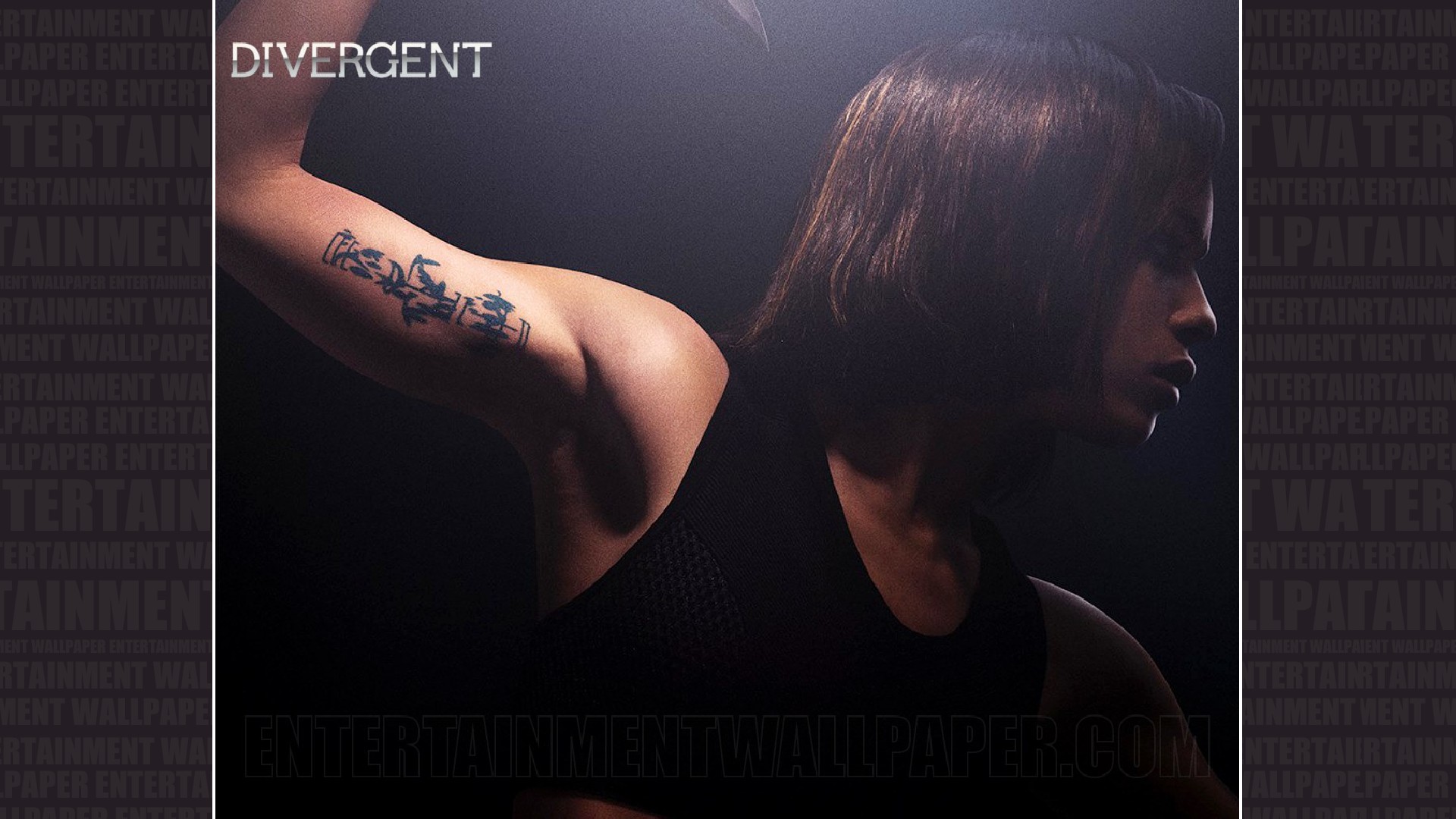 Wallpaper of Christina,Divergent for fans of Twivergents. 