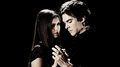 Damon and Elena - damon-and-elena fan art
