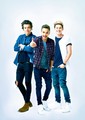 Harry, Liam and Niall - liam-payne photo