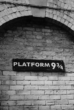  Harry Potter platform