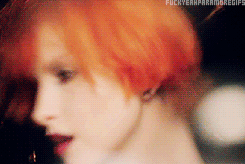  Hayley - Stay The Night