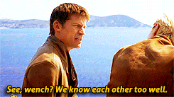  Jaime and Brienne - If the actual book quotes were in the toon