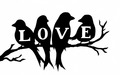 love - Love             wallpaper