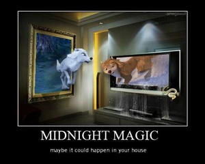  Midnight Magic
