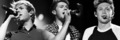 Niall Tours         - one-direction photo