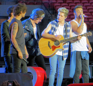 One Direction, Where We Are Tour London (07.06.2014) - x