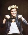 Our little cupcake - harry-styles photo
