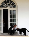 Playing With Bo - barack-obama photo