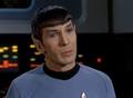 Spock!                 - star-trek photo