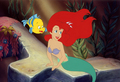 The Little Mermaid  - disney-princess photo