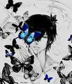 The blue butterflies. - young-justice-ocs photo
