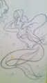 The little Mermaid! - disney-princess fan art