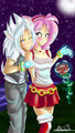 silver and amy - sonic-the-hedgehog photo