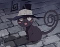 Blair in her cat form: Soul Eater - anime photo