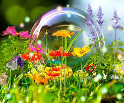  Bubble of お花