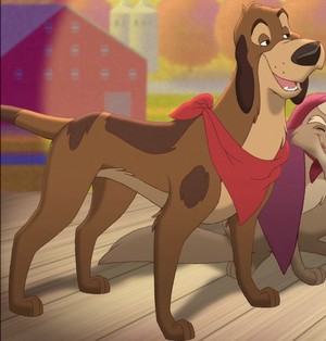 Cash from Fox and The Hound 2<3