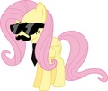 Cool Fluttershy - my-little-pony-friendship-is-magic photo