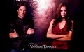 stelena-vs-delena - Damon n Elena wallpaper wallpaper