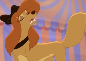 Dixie from Fox and the Hound 2<3