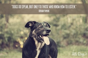 Dogs do speak...