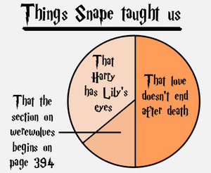 Harry Potter Graphs