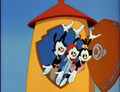 It's time for Animaniacs! - animaniacs photo