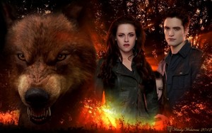Jacob, Bella, Renesmee and Edward