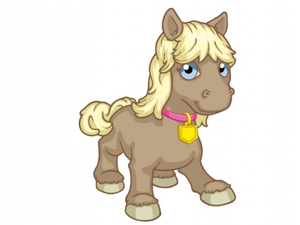  Jenny the poni, pony