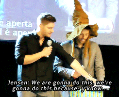 Jensen and Misha - Professionals