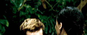 Katniss and Peeta ✓