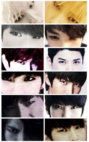  Leo Eyes Collage