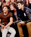 Louis,Harry,Zayn              - zayn-malik photo