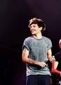 Louis On Stage - one-direction photo