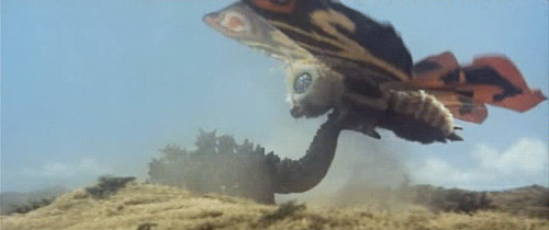 Mothra-vs-Godzilla-GIF-random-37219492-5