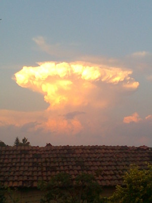  蘑菇 云, 云计算