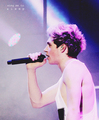 Niall                  - one-direction photo