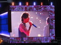 One Direction, Where We Are Tour Amsterdam (24.06.2014) - x - one-direction photo