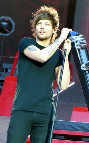  One Direction, Where We Are Tour Paris (21.06.2014) - x