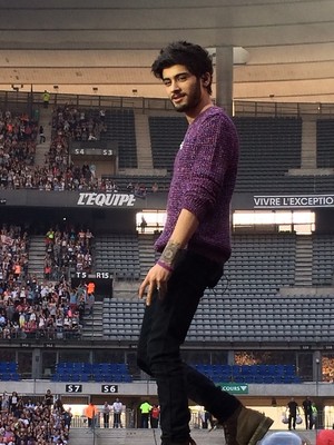 One Direction, Where We Are Tour Paris (21.06.2014) - x